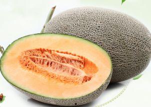 黑兔可以吃哈密瓜吗视频,一场意外的美食探索