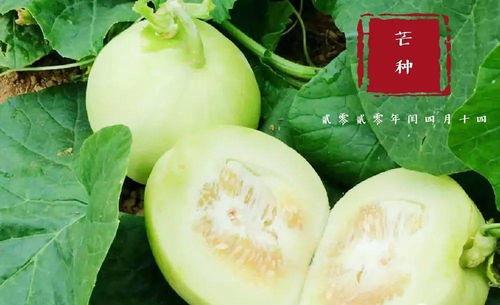 翰林名府吃瓜视频,揭秘豪宅背后的真实生活