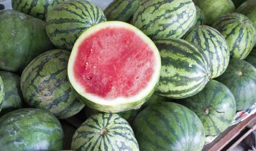 放吃瓜的视频,揭秘热门吃瓜视频背后的趣味与真相