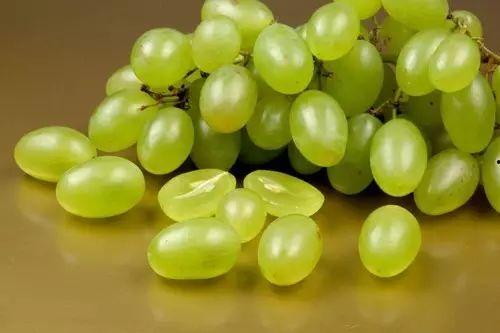 提子视频吃瓜系列,吃瓜系列，揭秘娱乐圈那些事儿