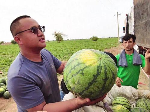 最新乌市吃瓜事件视频,视频揭秘惊人真相