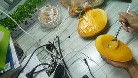 吃蜜瓜的勺子怎么用视频,轻松享受夏日美味