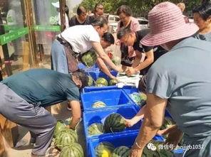 喀什幼儿园吃瓜事件视频,幼儿集体吃瓜引发关注