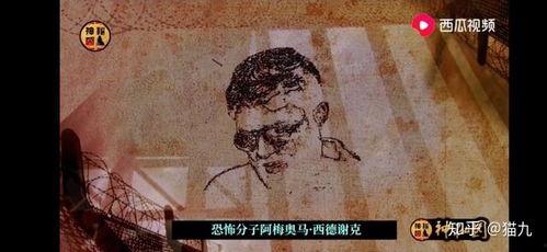 黄梅老佛吃瓜视频播放全集,揭秘全网热议的瓜王传奇