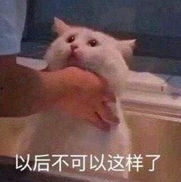 吃瓜爆料朝阳群众视频,揭秘吃瓜爆料背后的神秘力量