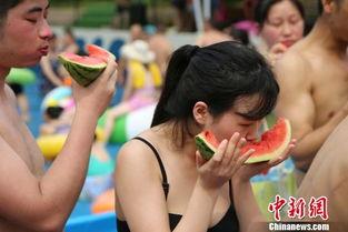 吃瓜比赛游泳池视频在线观看,一场视觉盛宴的在线直播盛况