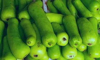 幼儿园吃蒲瓜视频教程,简单易学，营养美味