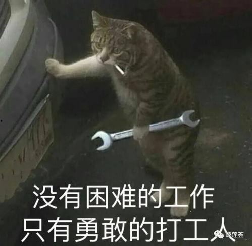 打工人吃瓜视频大全下载