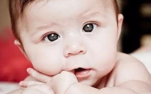 14个月宝宝吃瓜的视频,萌态十足引网友热议