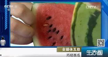 西瓜视频儿童吃瓜切西瓜,儿童趣味吃瓜切西瓜瞬间