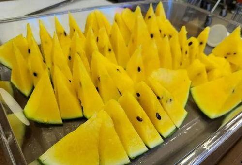 人吃瓜的真实情况视频大全,趣味视频大盘点