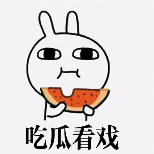 一边吃瓜一边听讲解视频,轻松掌握讲解视频精华