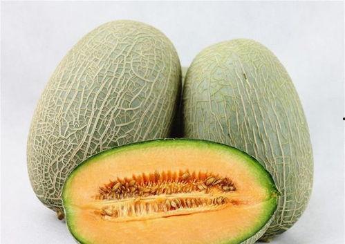 曾婉之看镜头吃哈密瓜视频大眼睛,萌态十足引网友热议