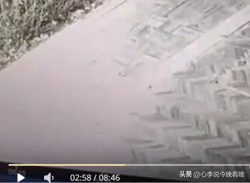 兰州老街吃瓜视频播放