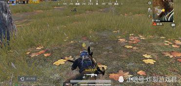 吃瓜人遇到狼人视频播放,视频曝光引网友热议