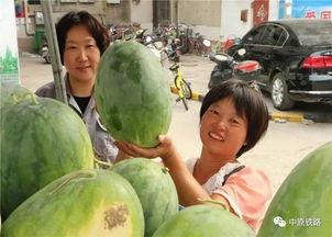 路不平吃瓜视频,揭秘短视频背后的趣味与思考