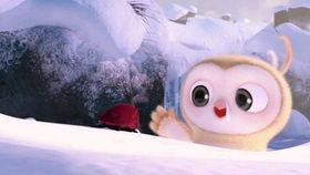 每日大赛吃瓜视频在哪看,独家观看指南