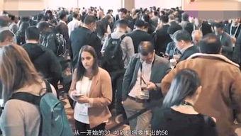 集中营吃瓜视频,吃瓜视频背后的历史警示